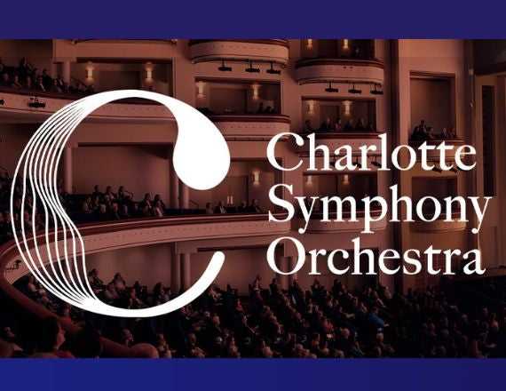 The Youth Orchestras Spring Concert