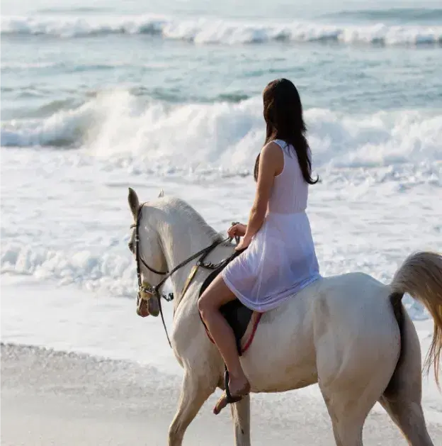 Bachelorette party itinerary planning with group coordination and activity scheduling
